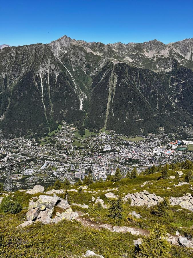 シャモニーLe Nid De L'Aiguille - Au Pied De L'Aiguille Du Midiアパートメント エクステリア 写真