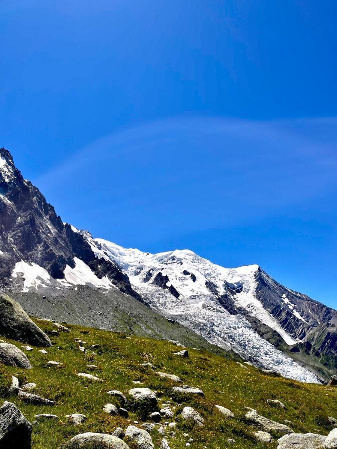 シャモニーLe Nid De L'Aiguille - Au Pied De L'Aiguille Du Midiアパートメント エクステリア 写真